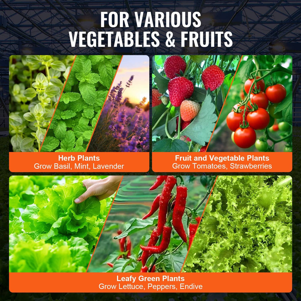 DWC hydroponic system for leafy greens, herbs, chili peppers, strawberries, and tomatoes