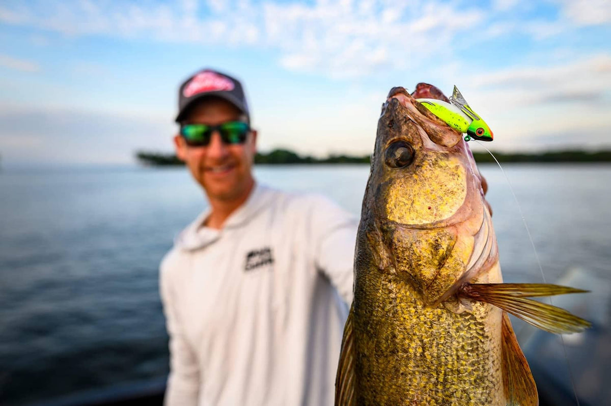 Fish with chartreuse minnow lure hooked, showing lure tail and fins