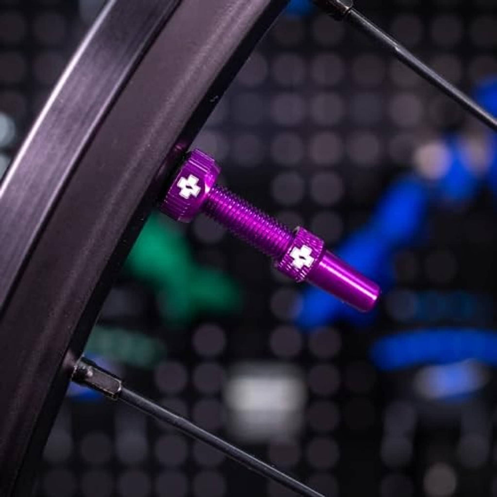 Purple Presta tubeless valve stem with protective cap on bicycle wheel rim