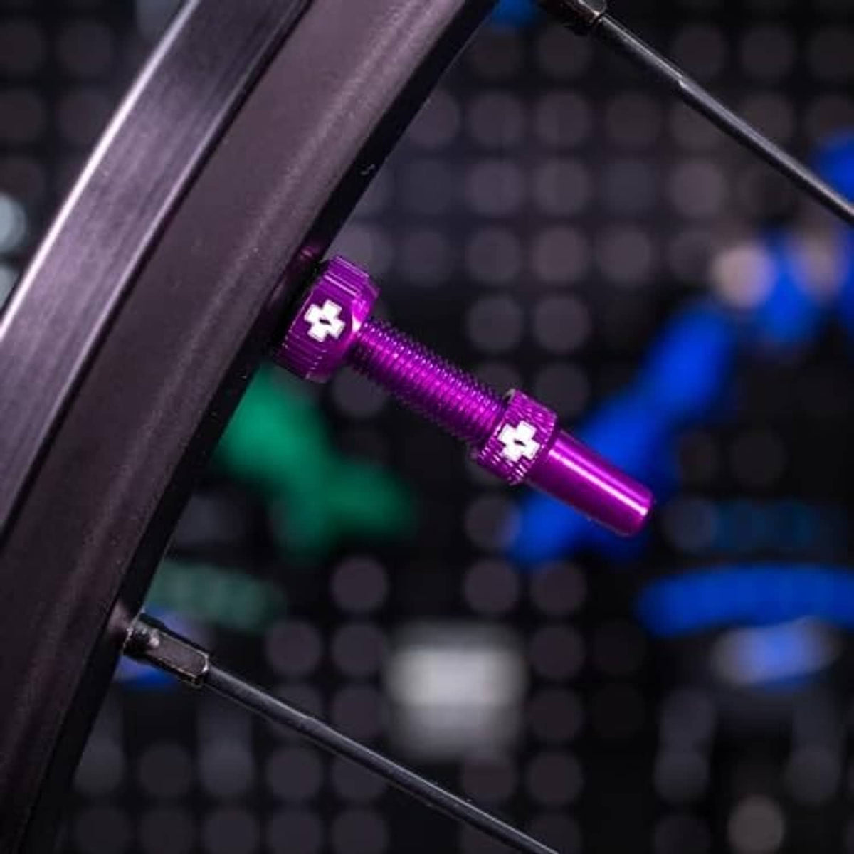 Purple Presta tubeless valve stem with protective cap on bicycle wheel rim