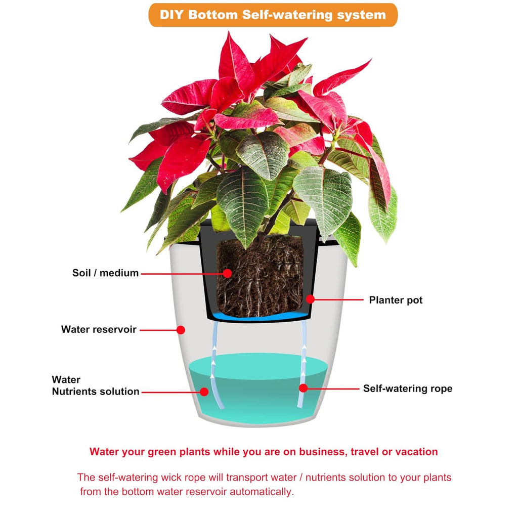 Self-watering system diagram showing water reservoir, planter pot, and wick rope