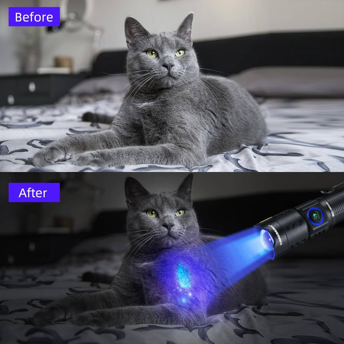 Mini UV 365nm flashlight casting a blue glow beam on a surface