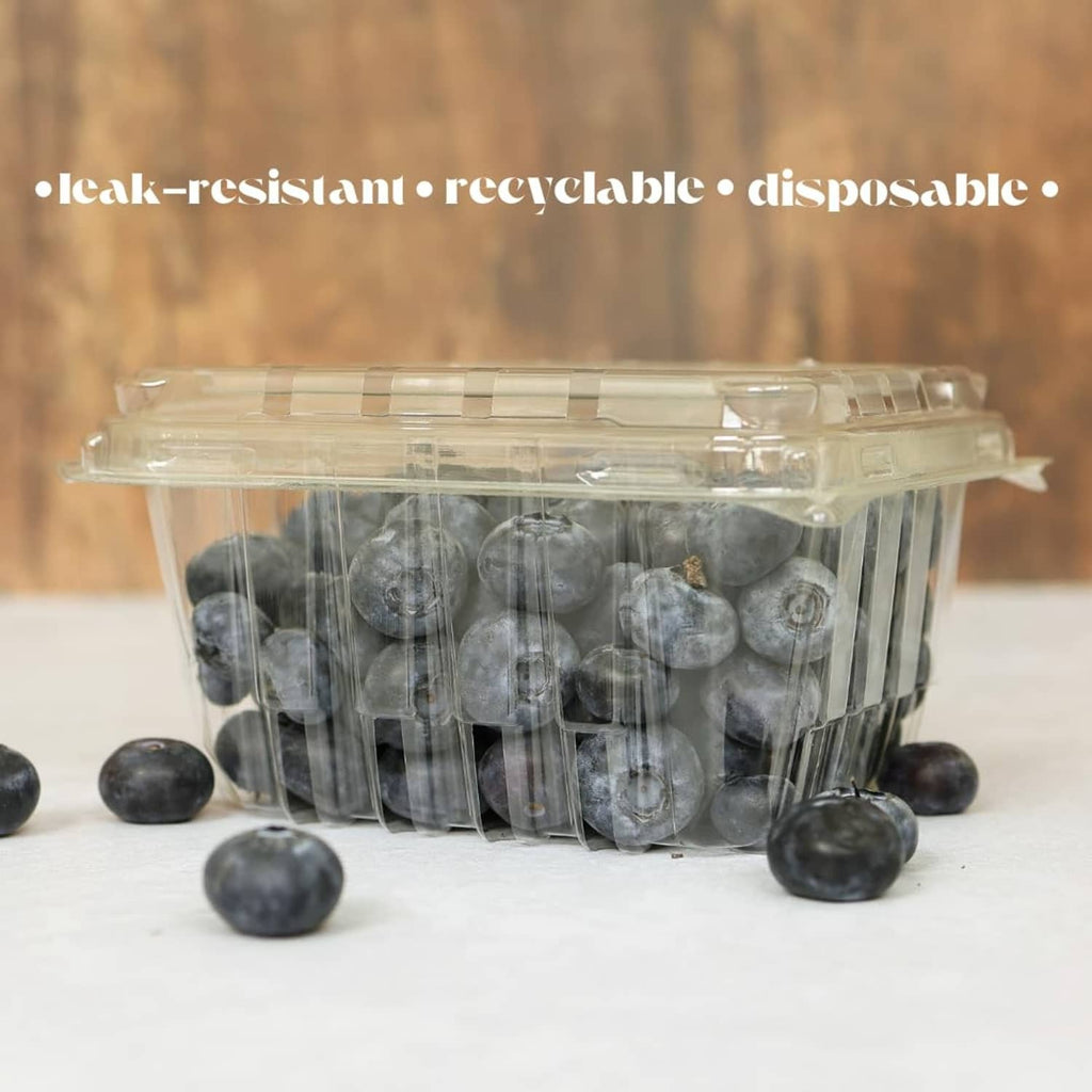 Clear plastic berry container with snap lid, filled with blueberries