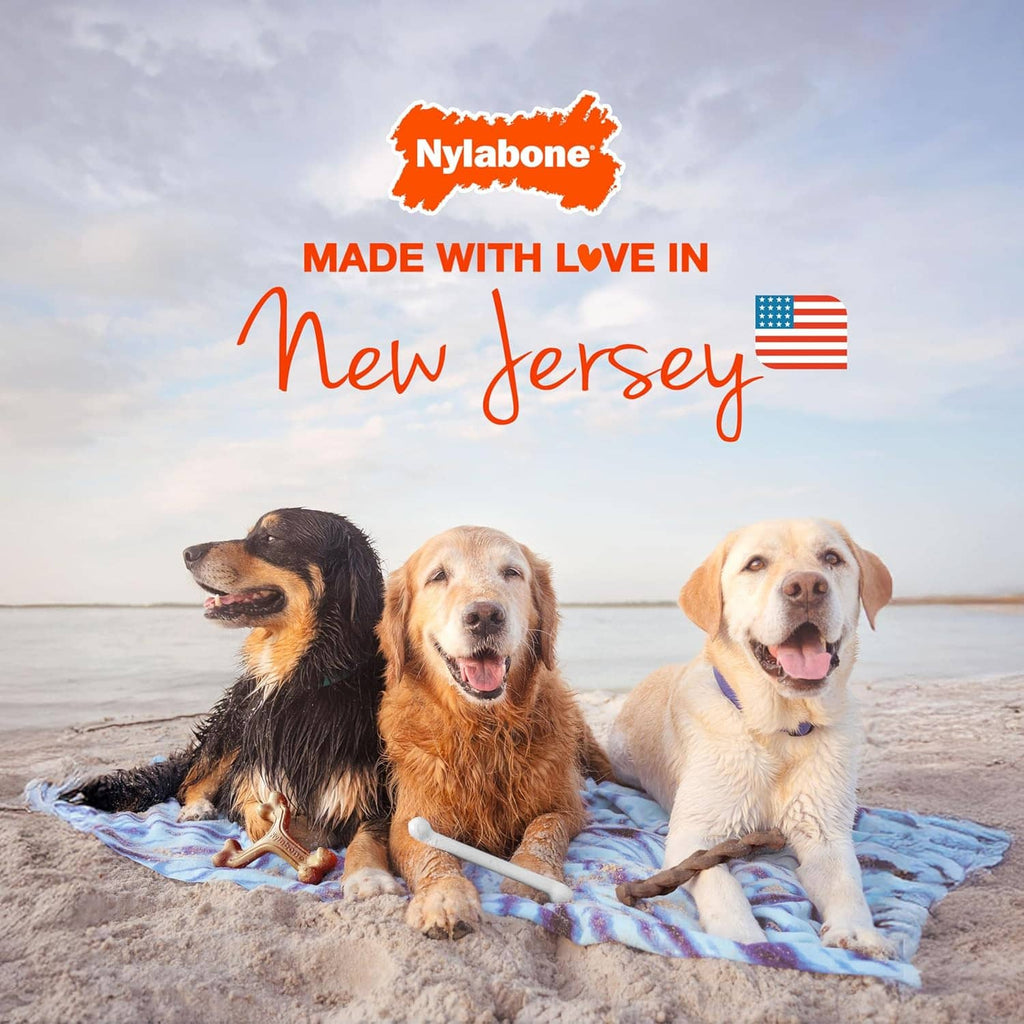 Nylabone brand scene with three dogs outdoors on a beach blanket