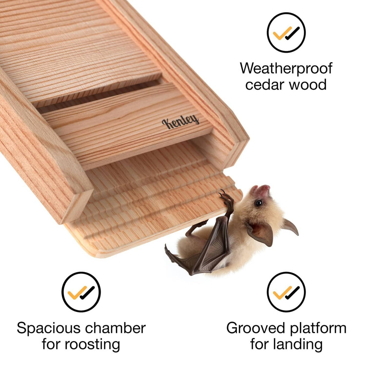 Cedar bat house with open front showing spacious chamber and grooved landing