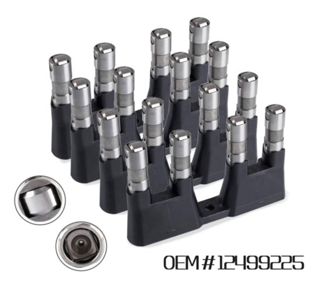 Hydraulic roller lifter set with guide trays, multiple silver lifters on black tray