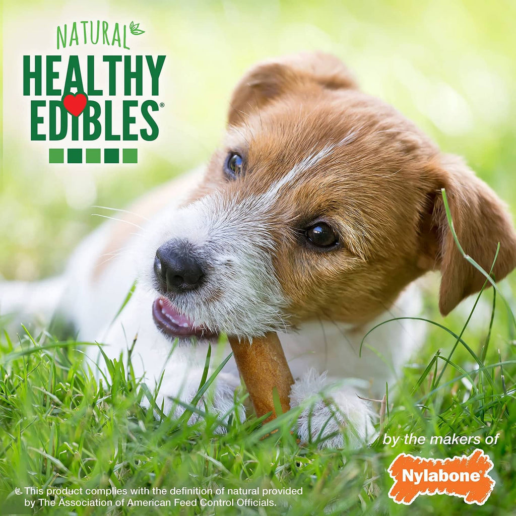 Natural Healthy Edibles roast beef dog chew treat with puppy on front