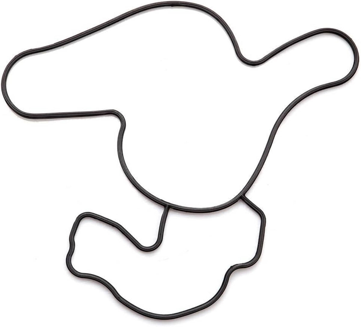 Water pump gasket kit with two black rubber hoses and sealing profile