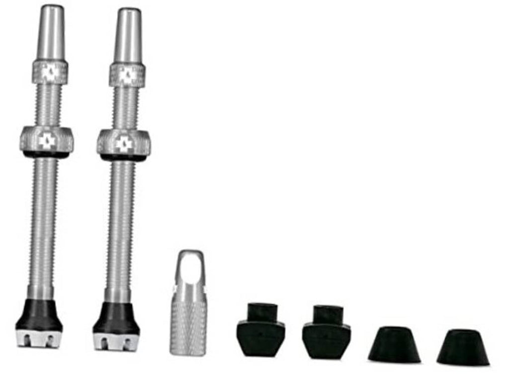 Tubeless Presta valve set with 2 silver 44mm valves, caps and black bases