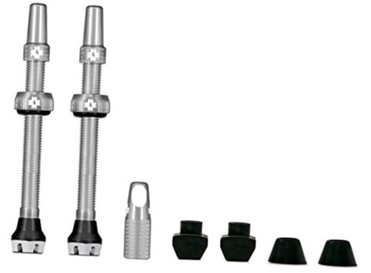 Tubeless Presta valve set with 2 silver 44mm valves, caps and black bases