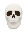 White ceramic bisque skull figurine with dark eye sockets and open nose