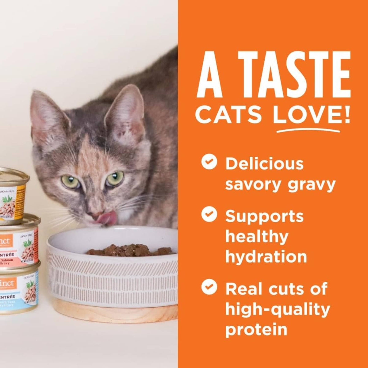 Wet cat food can with a cat eating from a bowl