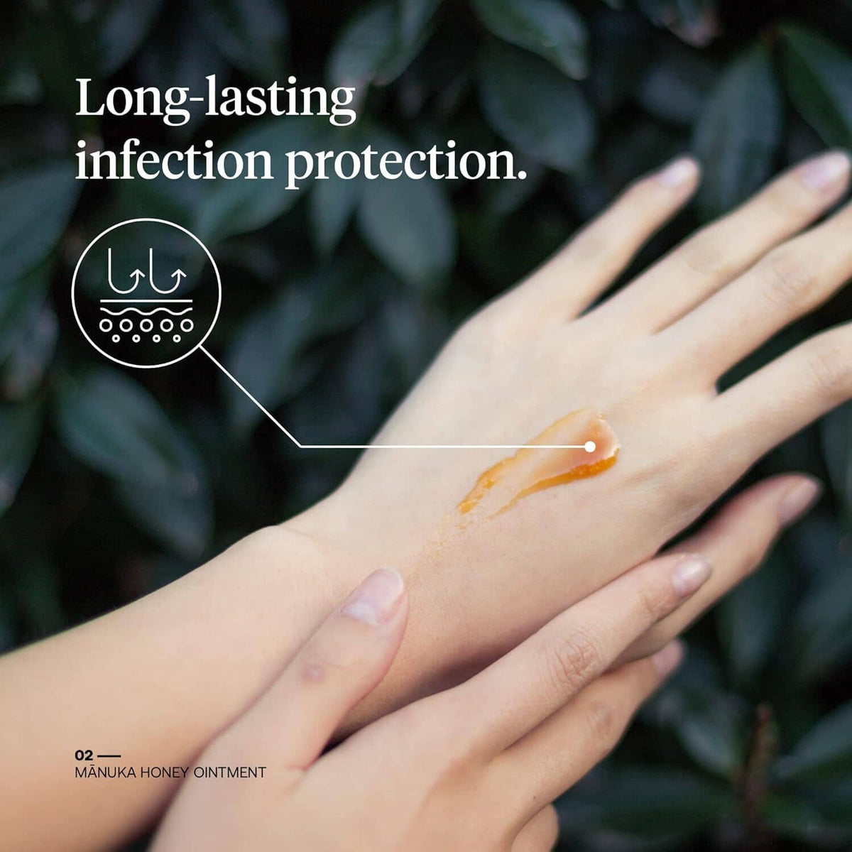 Manuka honey ointment smear on hand with firsthoney tube and protection icon