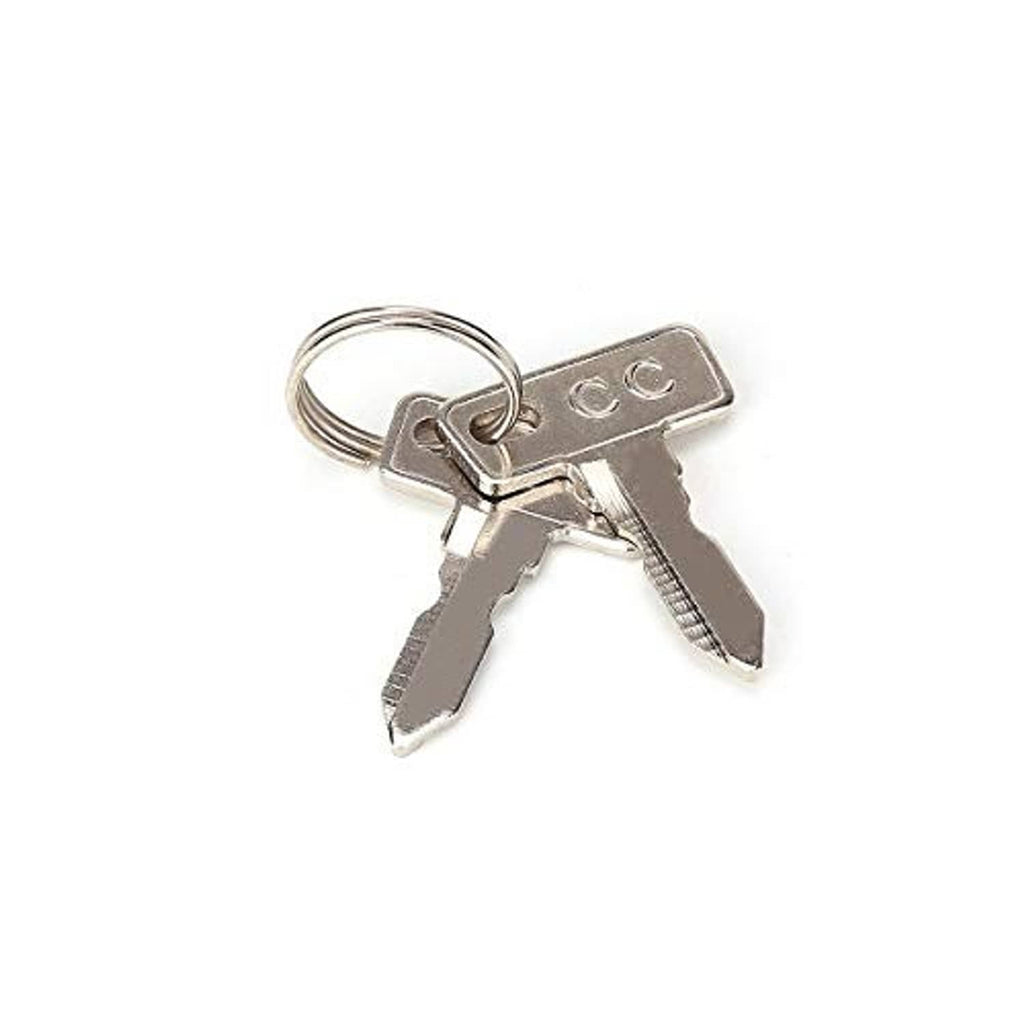 Metal ignition keys on a keyring, chrome finish with two key blades