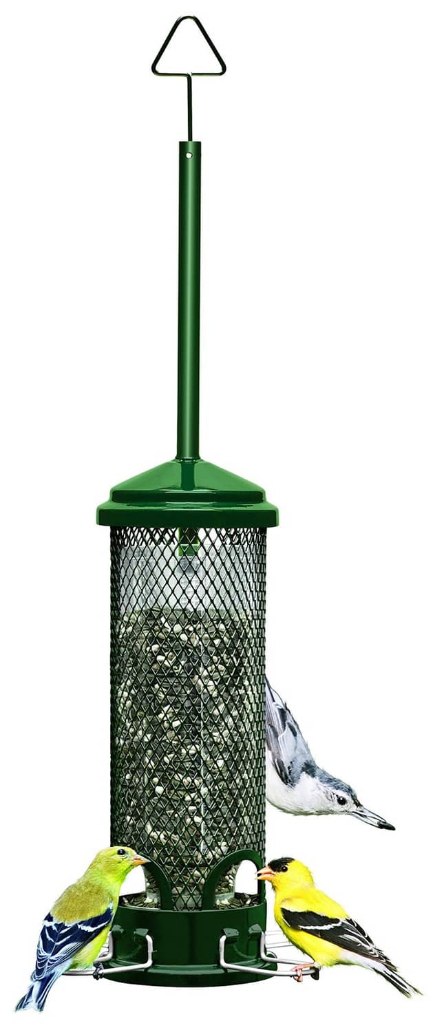 Mini squirrel-proof bird feeder with mesh cylinder and four metal perches, green base