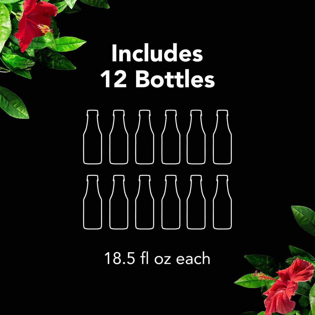 Set of 12 unsweetened iced tea bottles, 18.5 fl oz each