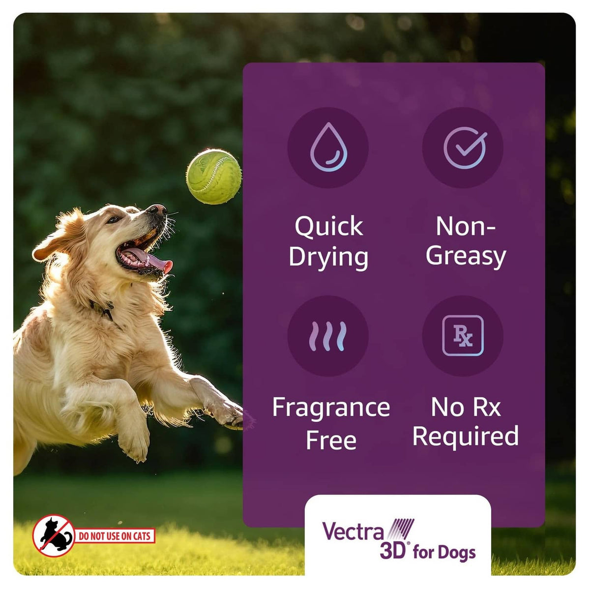 Vectra 3D for Dogs panel: quick drying, non-greasy, fragrance-free, no Rx required