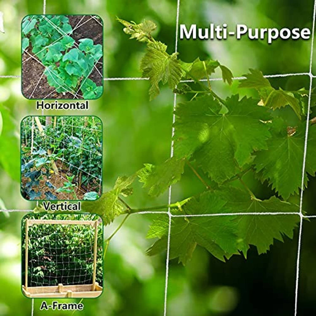 White square mesh trellis netting surrounding climbing plants
