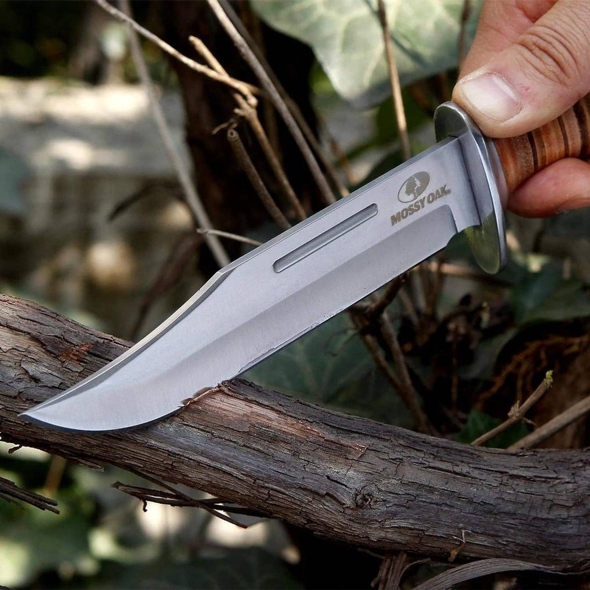 Bowie knife resting on a log with wood handle and fixed stainless blade