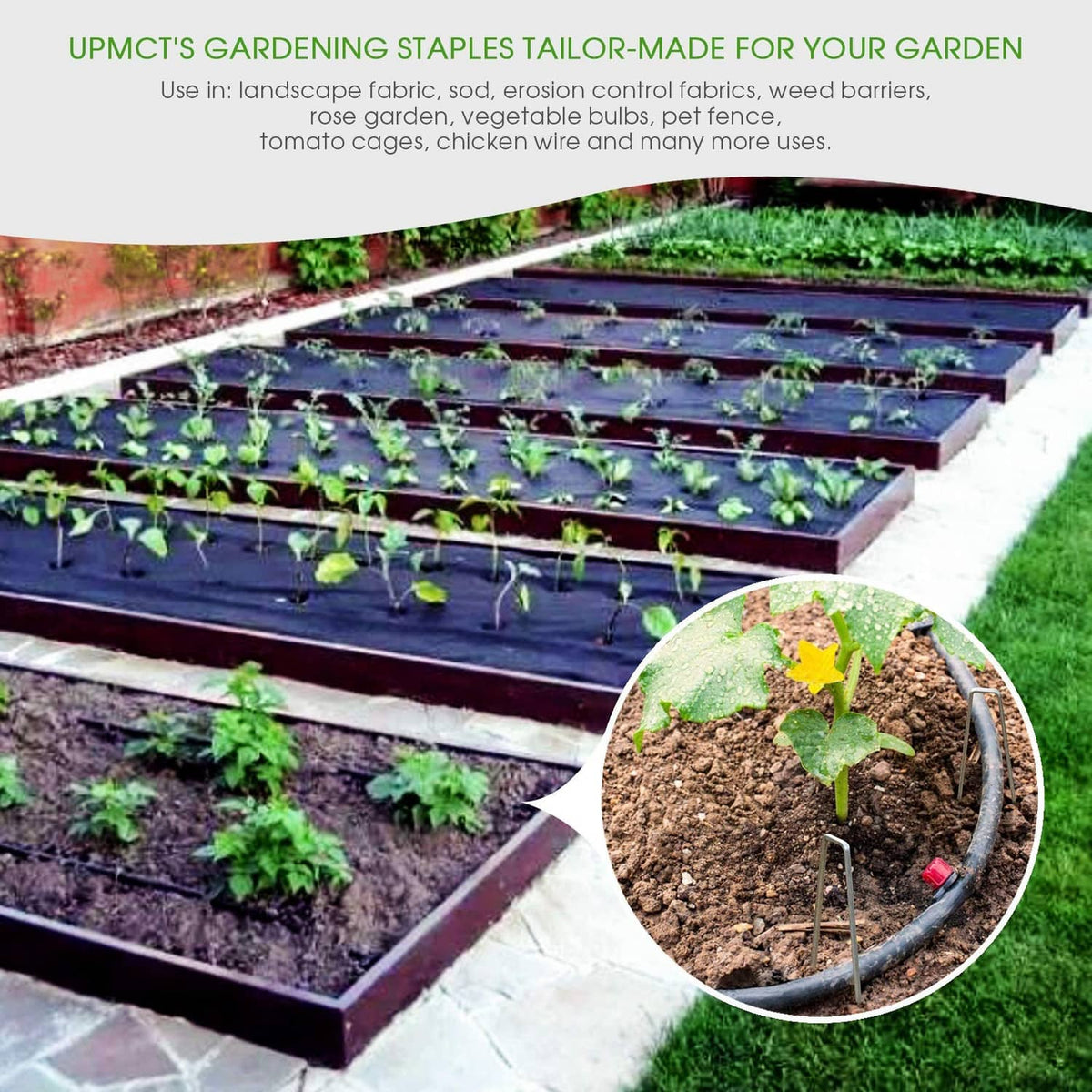 Galvanized landscape staples for raised beds, steel U pins for anchoring edging