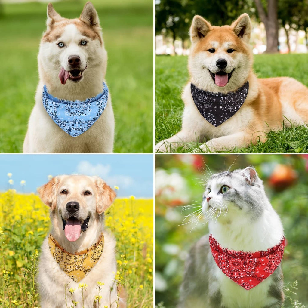 Dogs wearing reversible triangle bandanas in blue, black, yellow, and red patterns