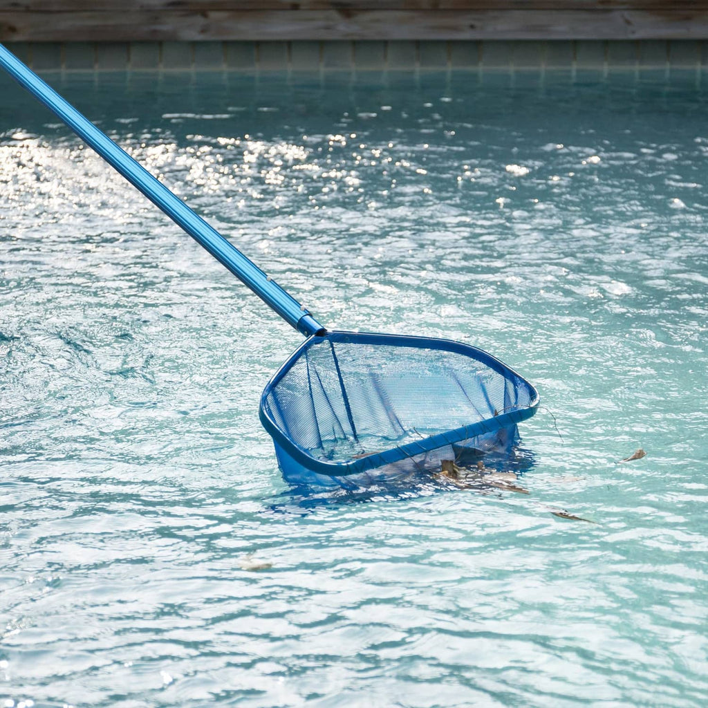 Blue telescopic pole with round skimmer net lifting debris from pool water