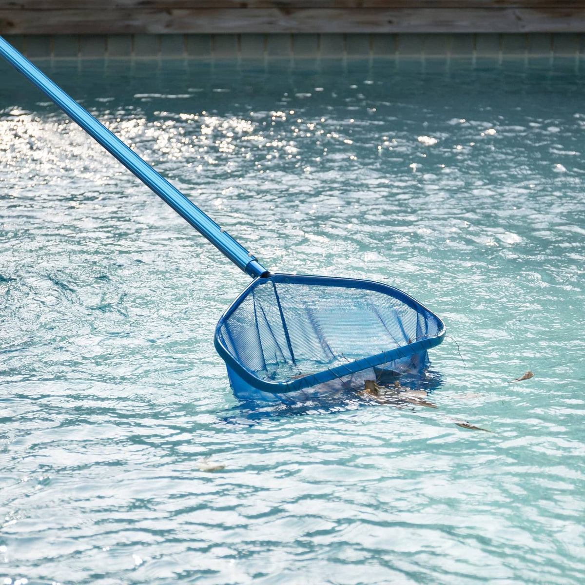 Blue telescopic pole with round skimmer net lifting debris from pool water