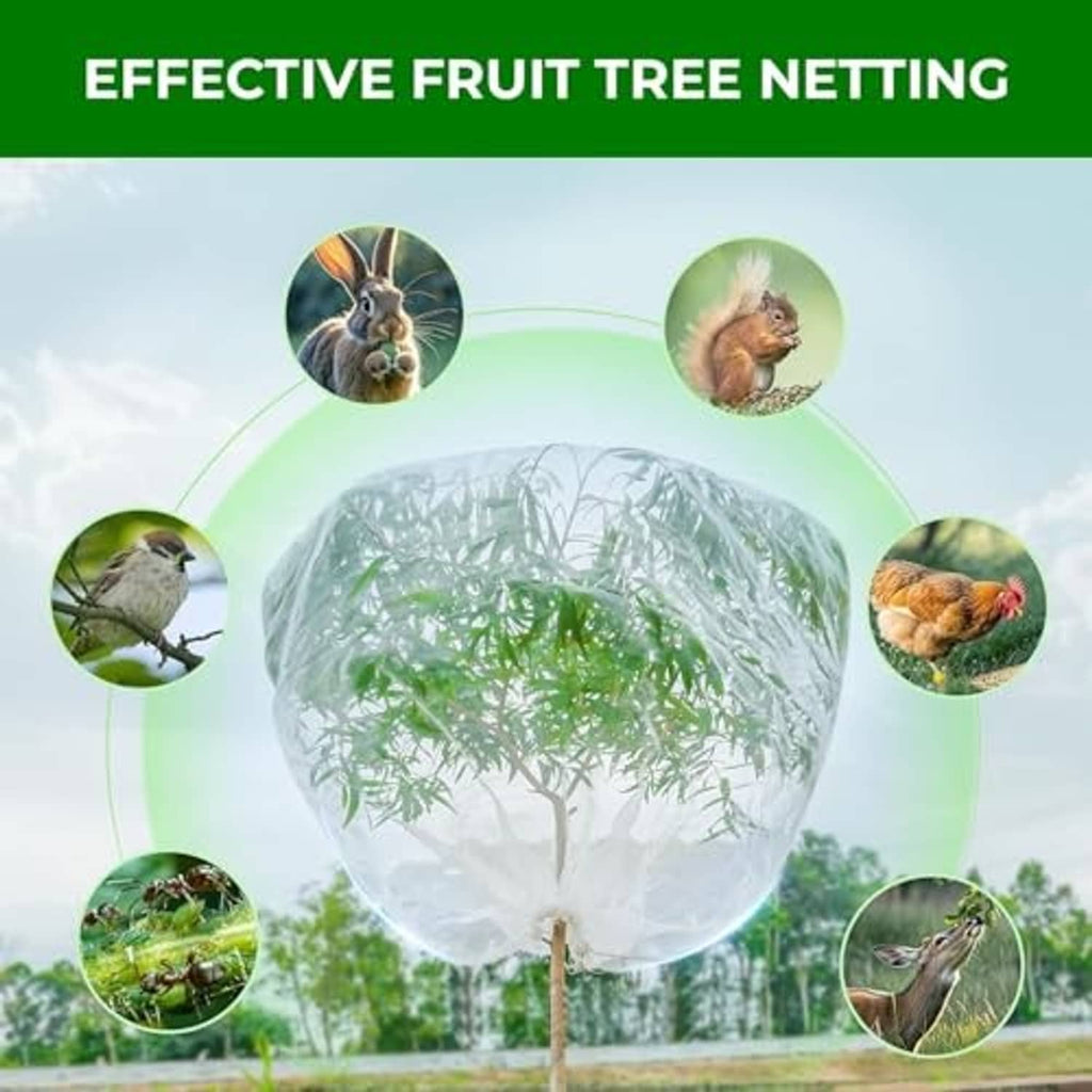 Transparent fruit tree netting bag, protective dome cover for branches and leaves