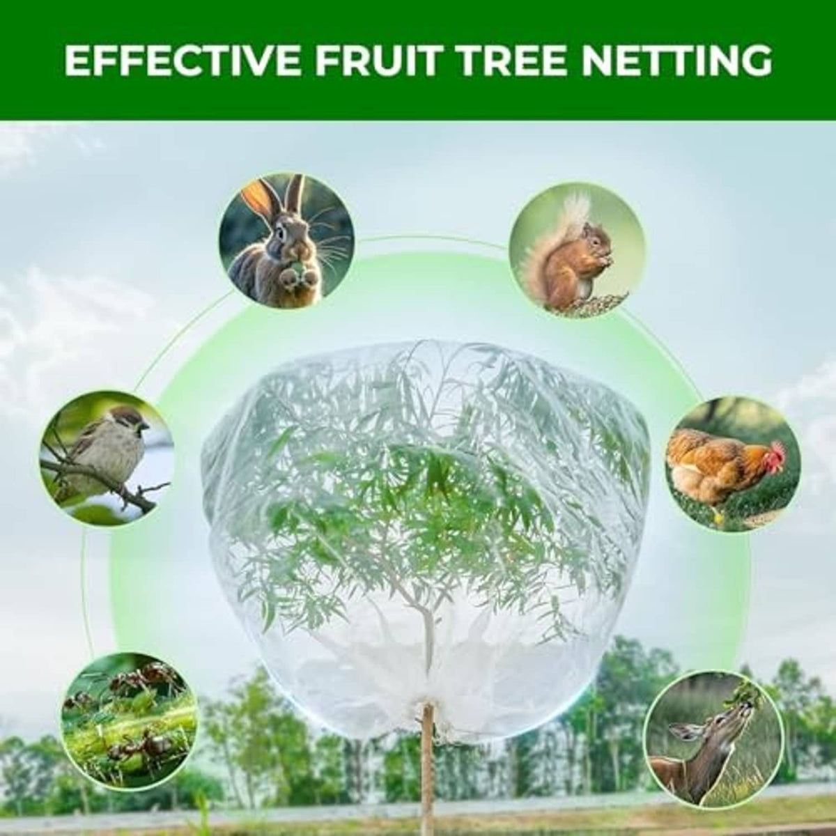 Transparent fruit tree netting bag, protective dome cover for branches and leaves