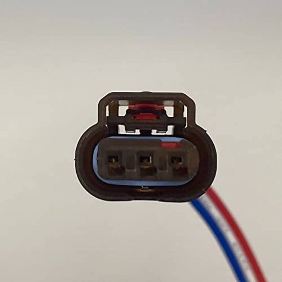 Camshaft position sensor connector wiring harness, front view of black connector with blue/red leads