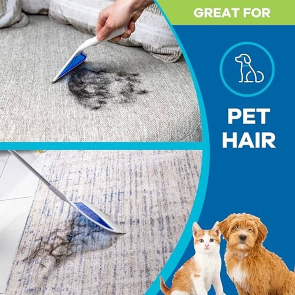 Mini squeegee for pet hair removal from carpet with blue scraping edge