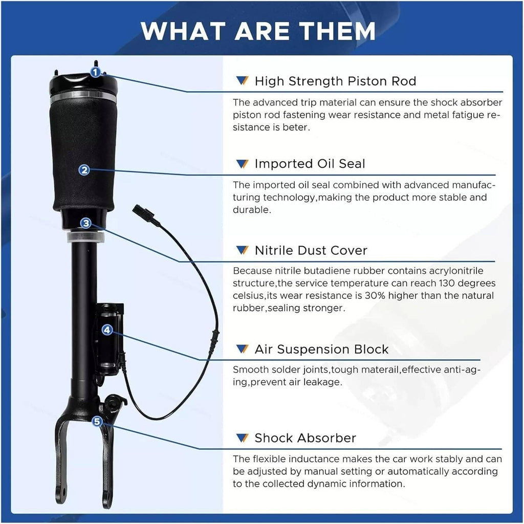 Air suspension strut parts diagram with numbered components and hose connection