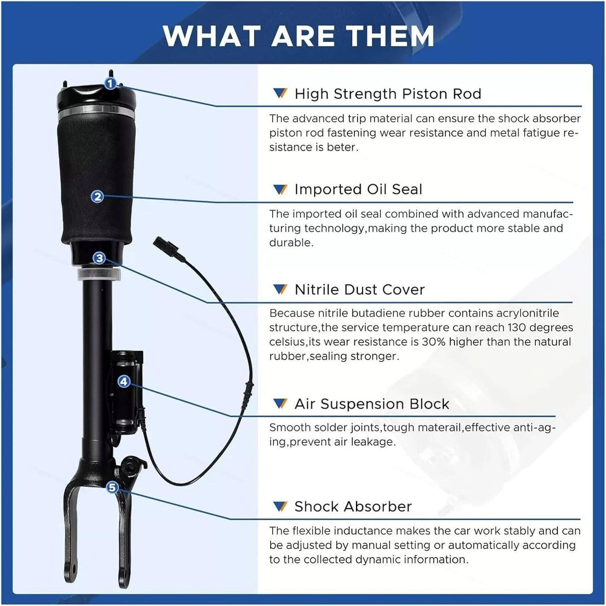Air suspension strut parts diagram with numbered components and hose connection