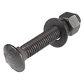 Black carriage bolt with square neck and rounded head, dark finish