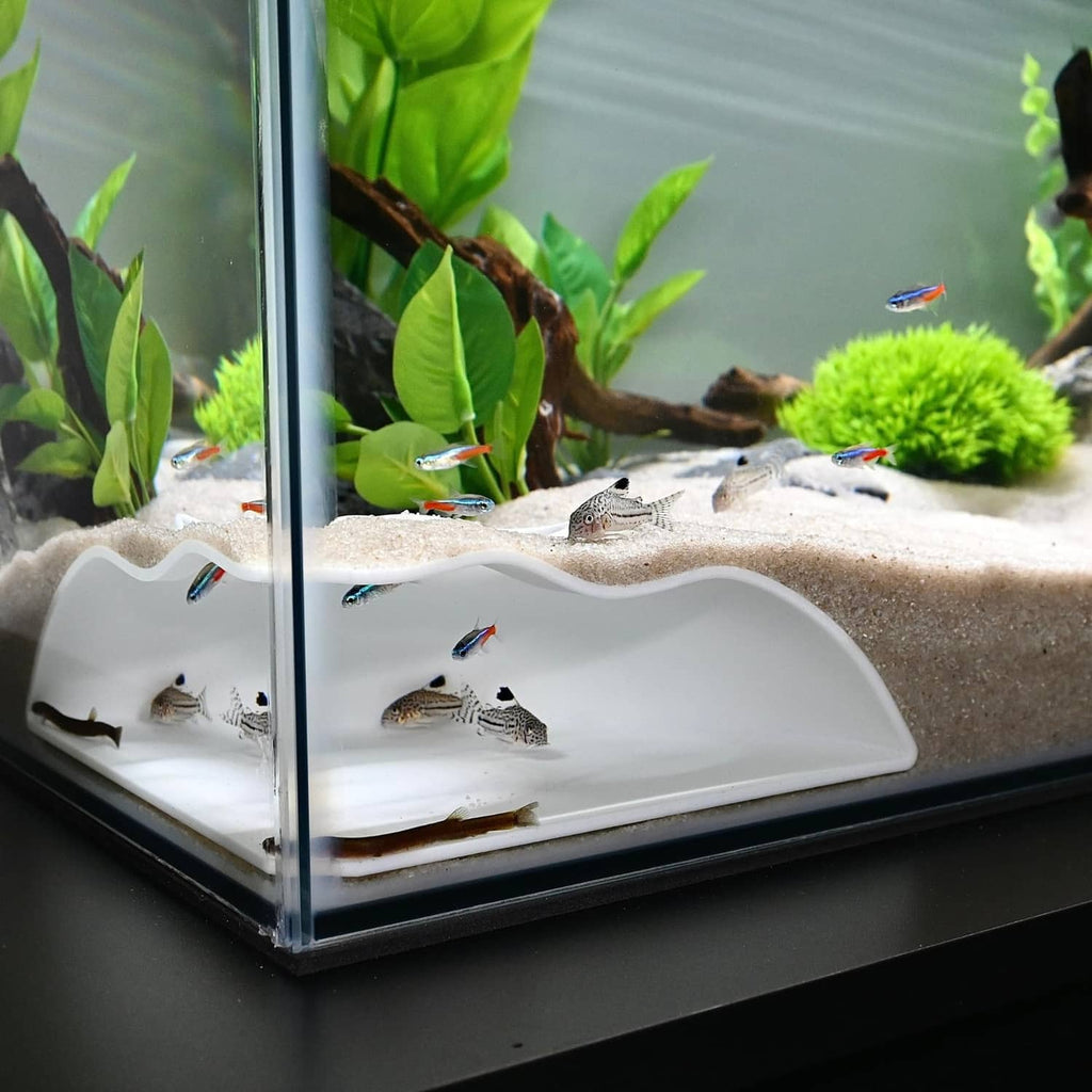 White corner aquarium cave insert with fish swimming around curved viewing area