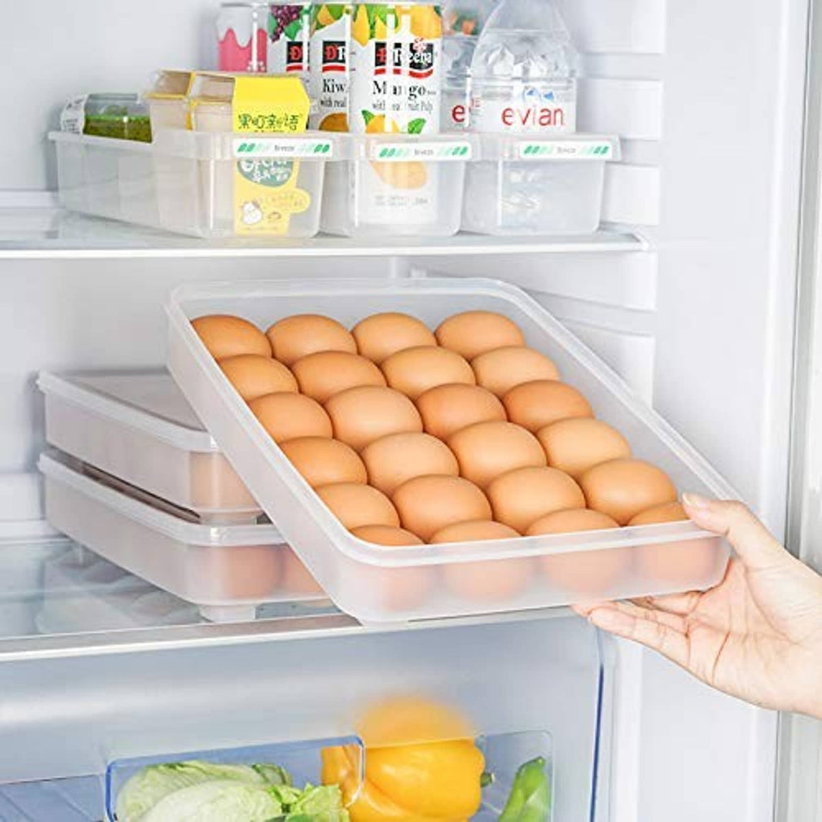 Clear plastic egg holder tray in refrigerator, filled with brown eggs
