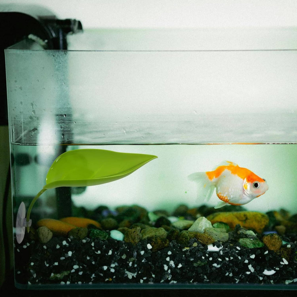 Green leaf basking platform with suction cups in aquarium; orange fish nearby