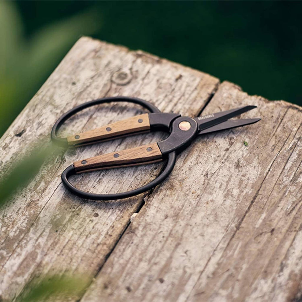 Garden shears resting on weathered wood: black frame, wooden handles, stainless blades.