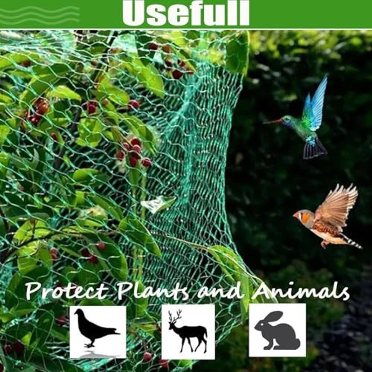 Green bird netting mesh enclosure over plants, helping deter birds from fruit