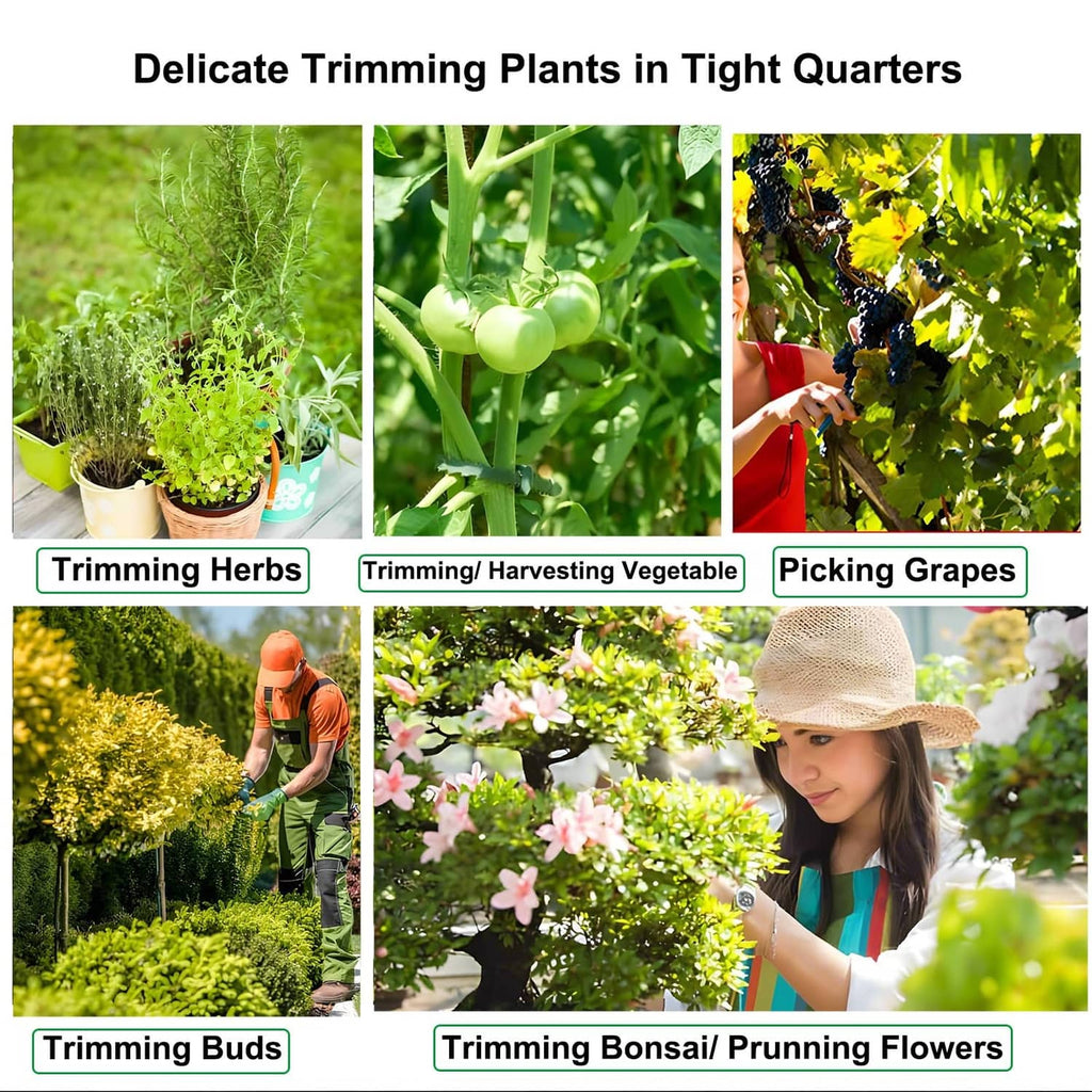 Person trimming flowers and herbs with pruning shears outdoors in a garden