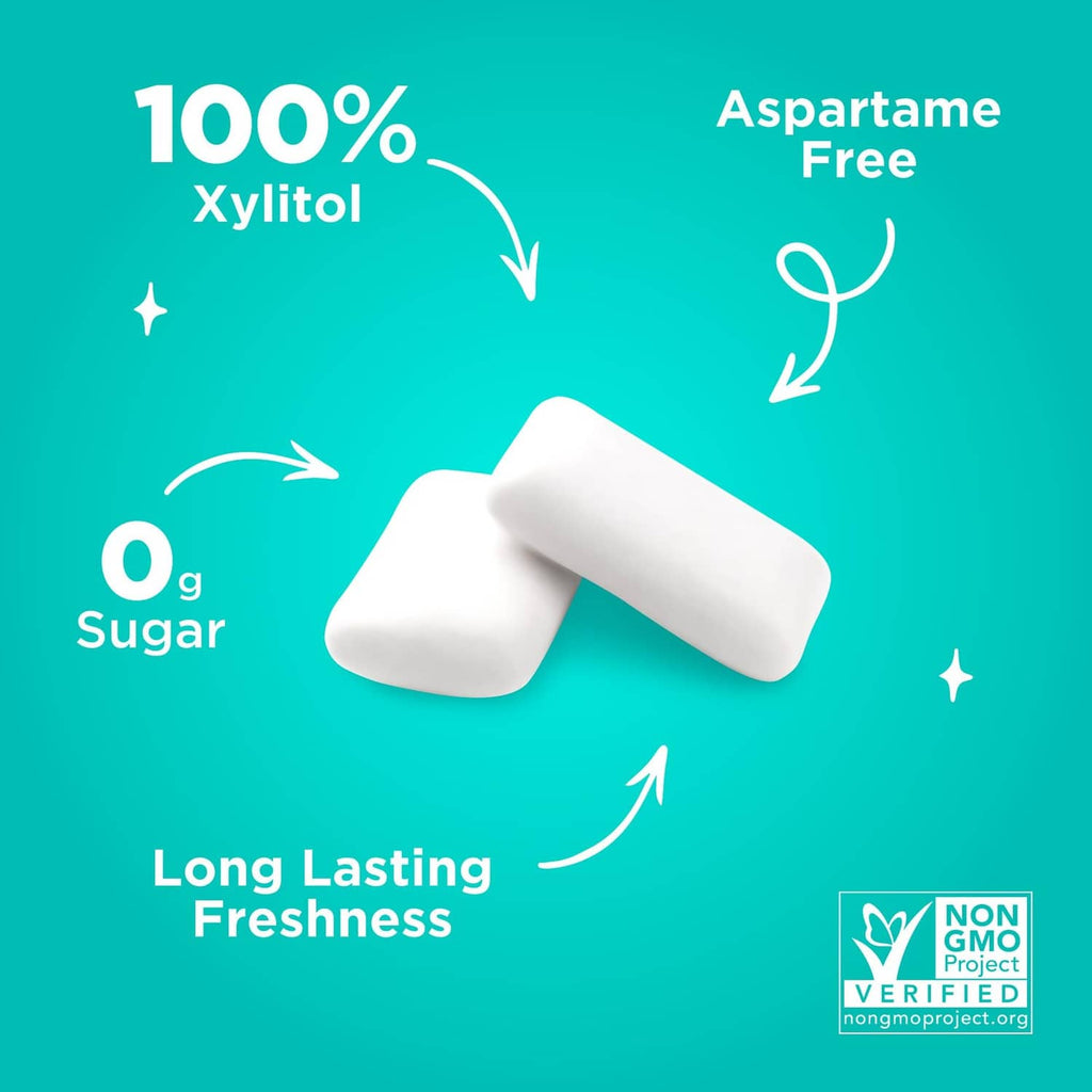 100% xylitol wintergreen gum pieces, aspartame-free, NON GMO Project
