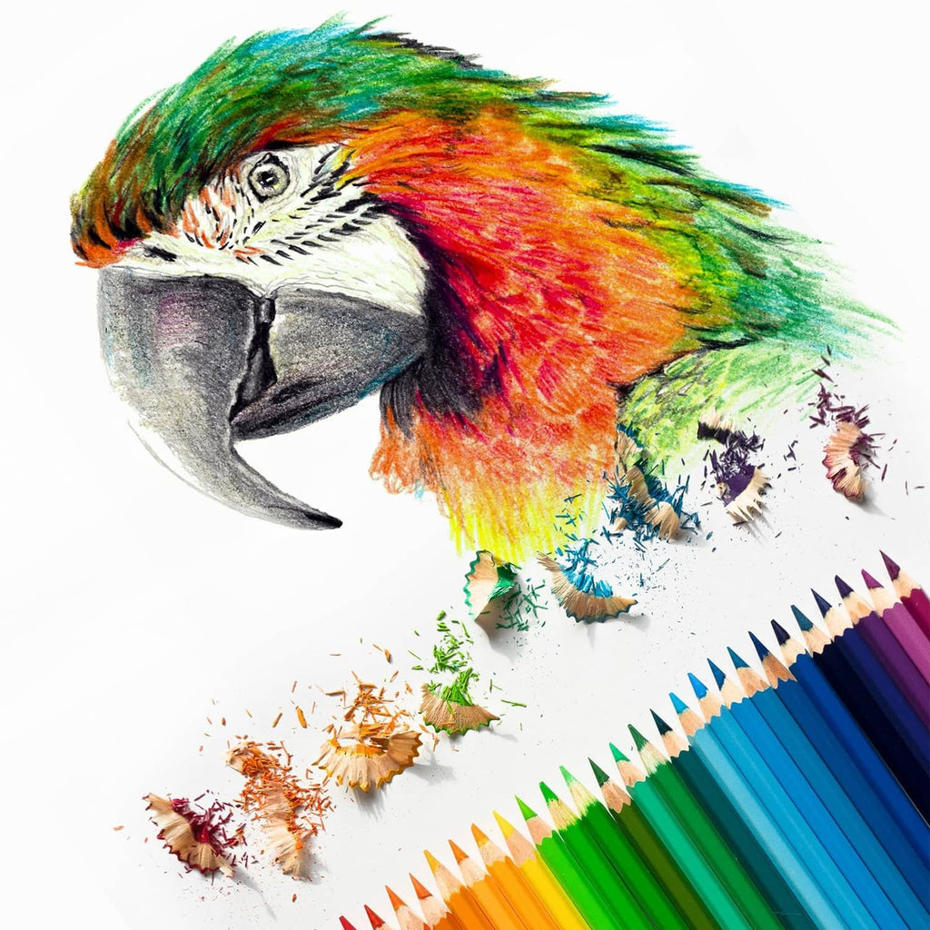 Watercolor pencil strokes on parrot artwork, with scattered color bits