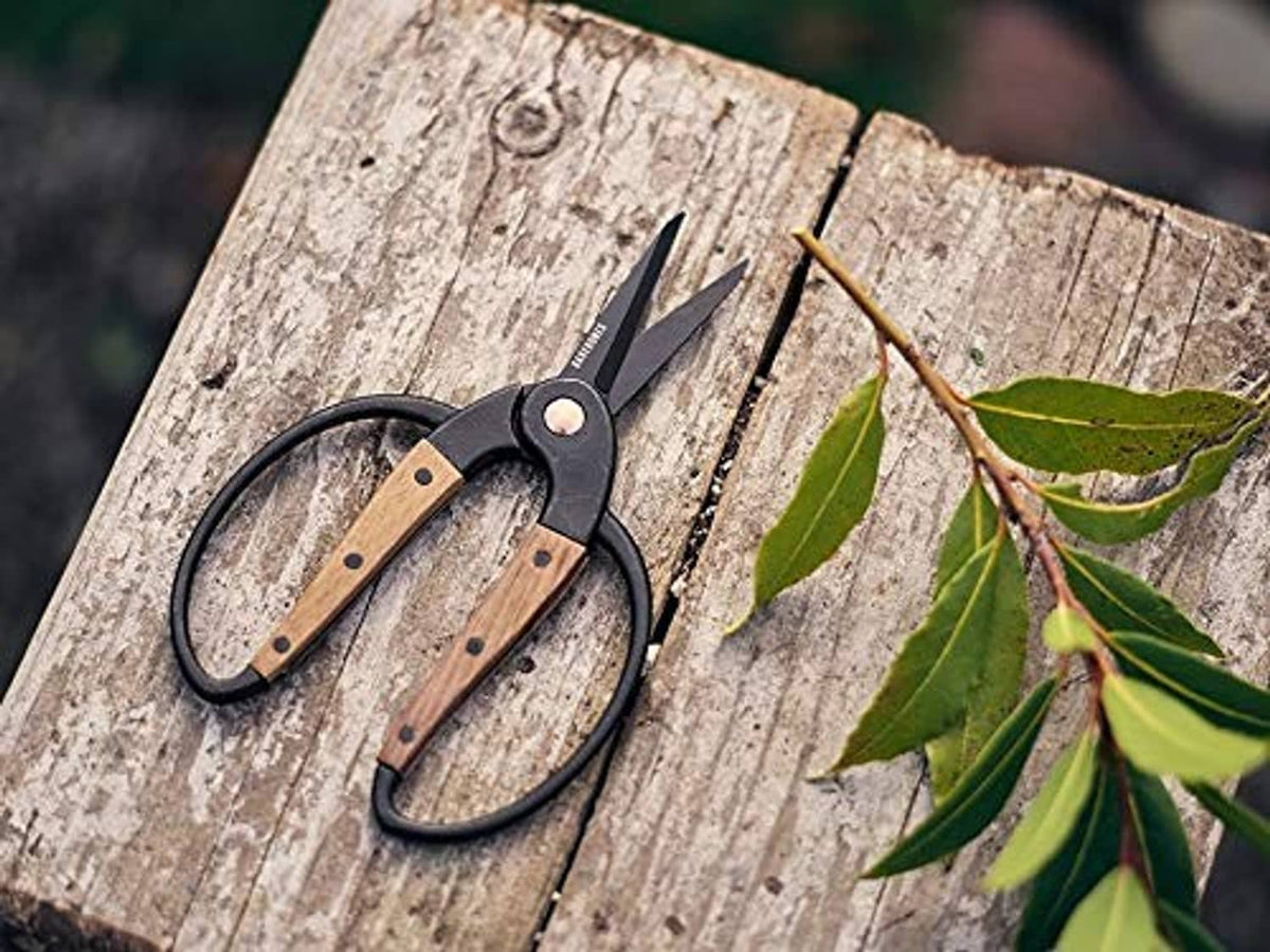 Garden shears on wooden board with black handle and wooden grips, open blades visible.