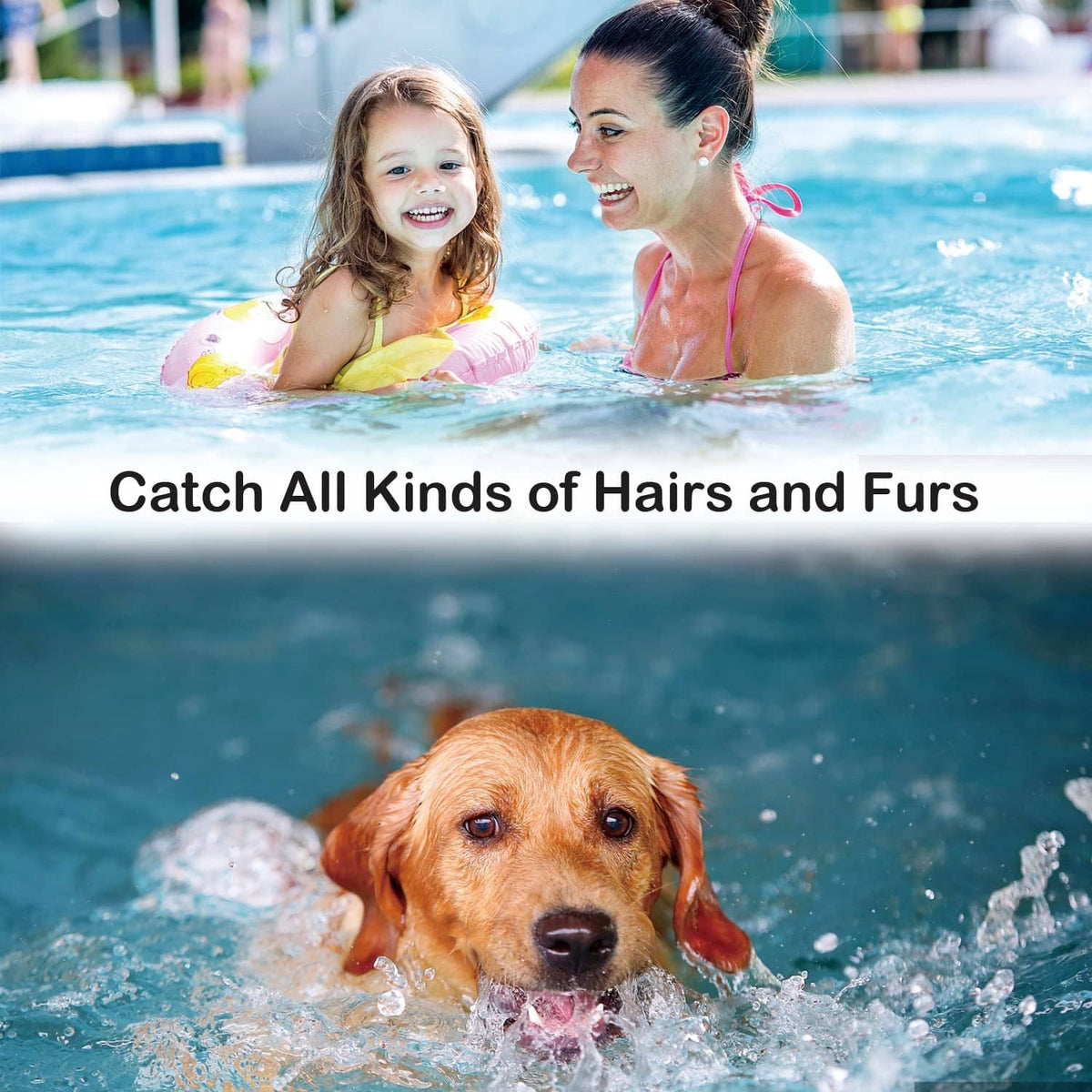 Dog splashing in pool water with hair-catching concept overlay