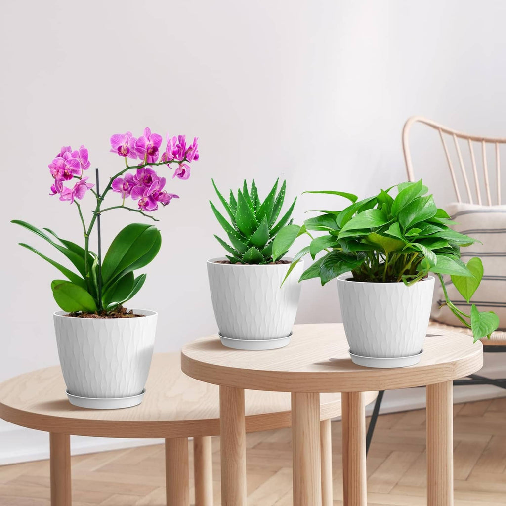 White textured plant pots with assorted plants on a wooden tray