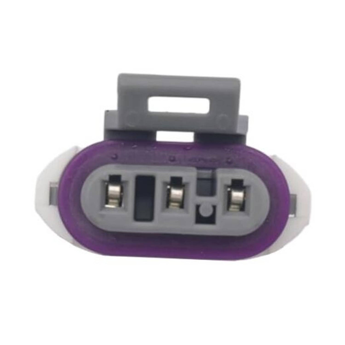 Gray 3-pin connector face with purple outer housing and three metal contact openings
