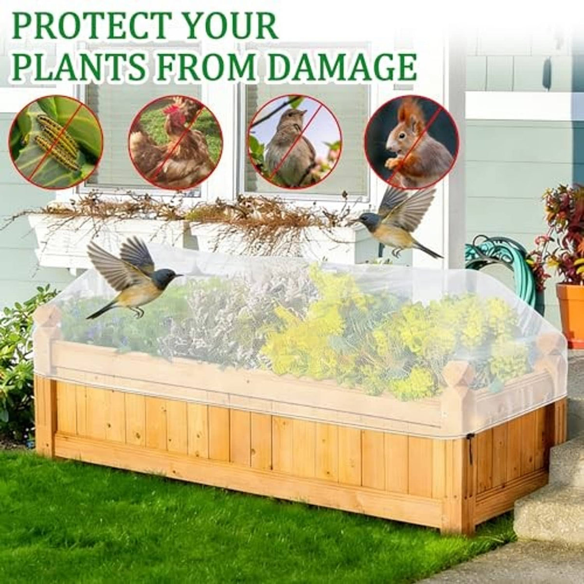 Wooden raised bed with translucent green garden netting for pest and bird protection