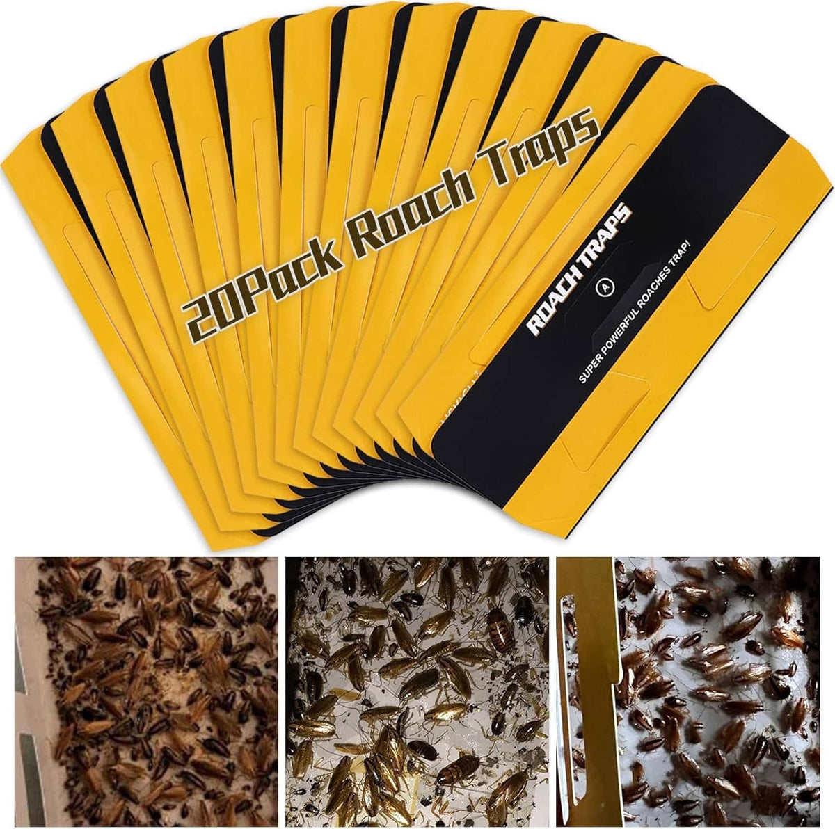 Yellow glue cockroach traps with black strip; inset shows trapped insects