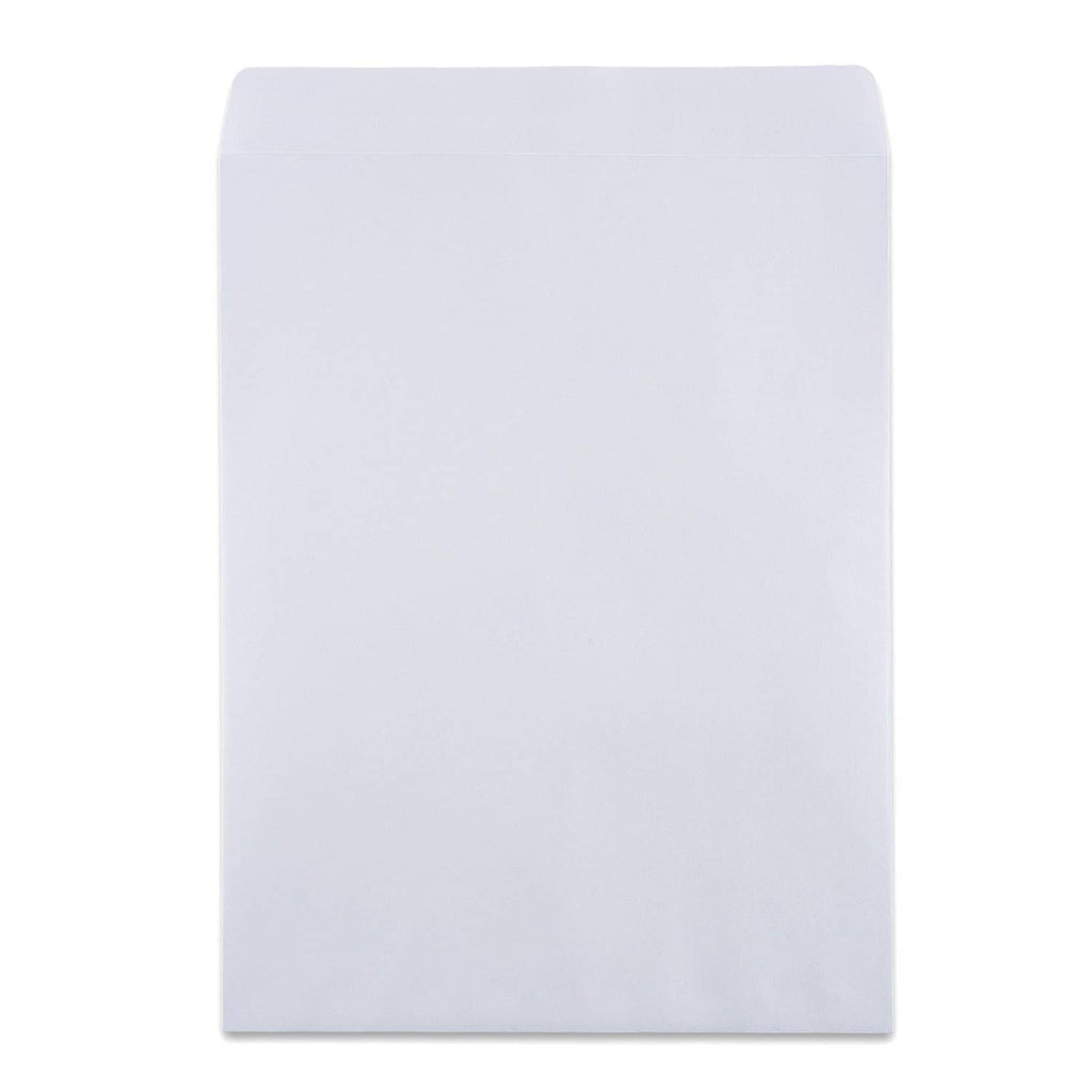 White 10x13 security envelope, flat front view