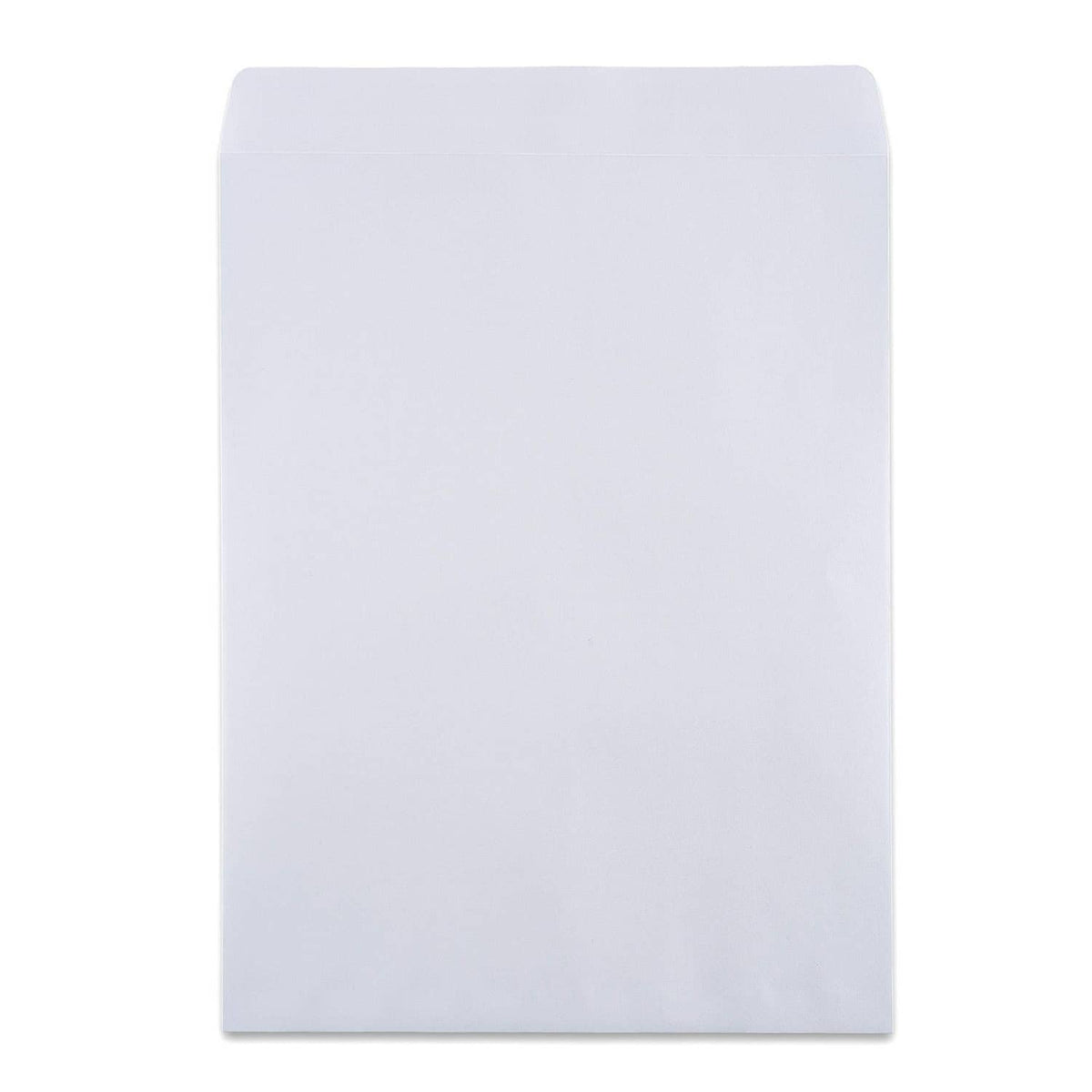 White 10x13 security envelope, flat front view